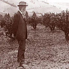 A man standing in an orchard with trees.