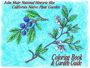 A coloring book and garden guide cover